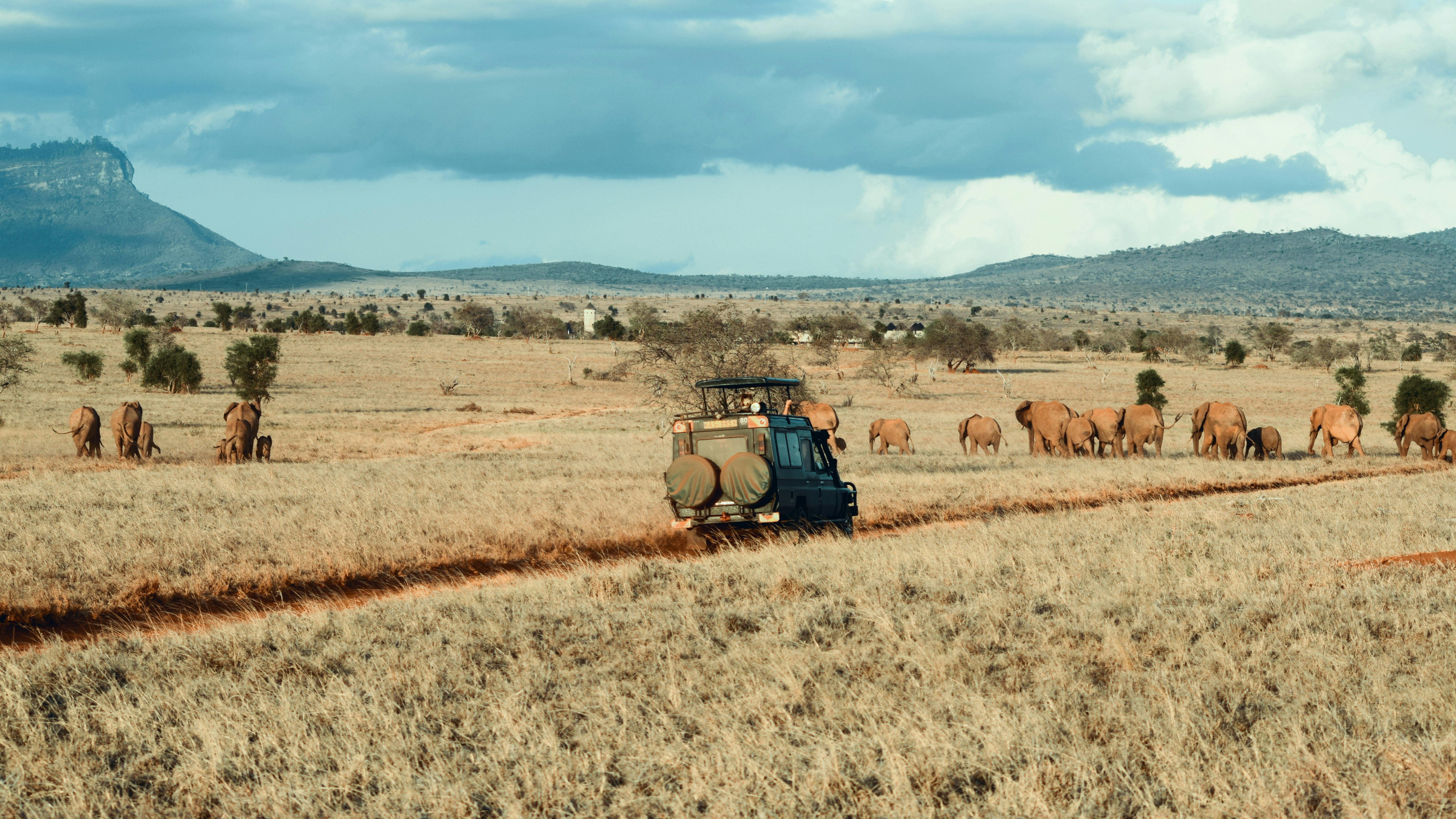 Amboseli Safari